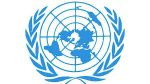 Días, semanas, años y décadas internacionales conmemorados por la ONU