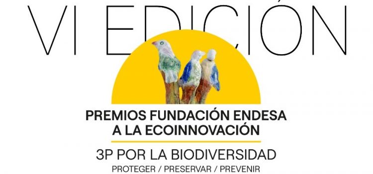 VI Edición de los Premios a la Ecoinnovación Educativa (Fundación Endesa)