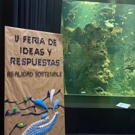 V Feria de Ideas y Respuestas